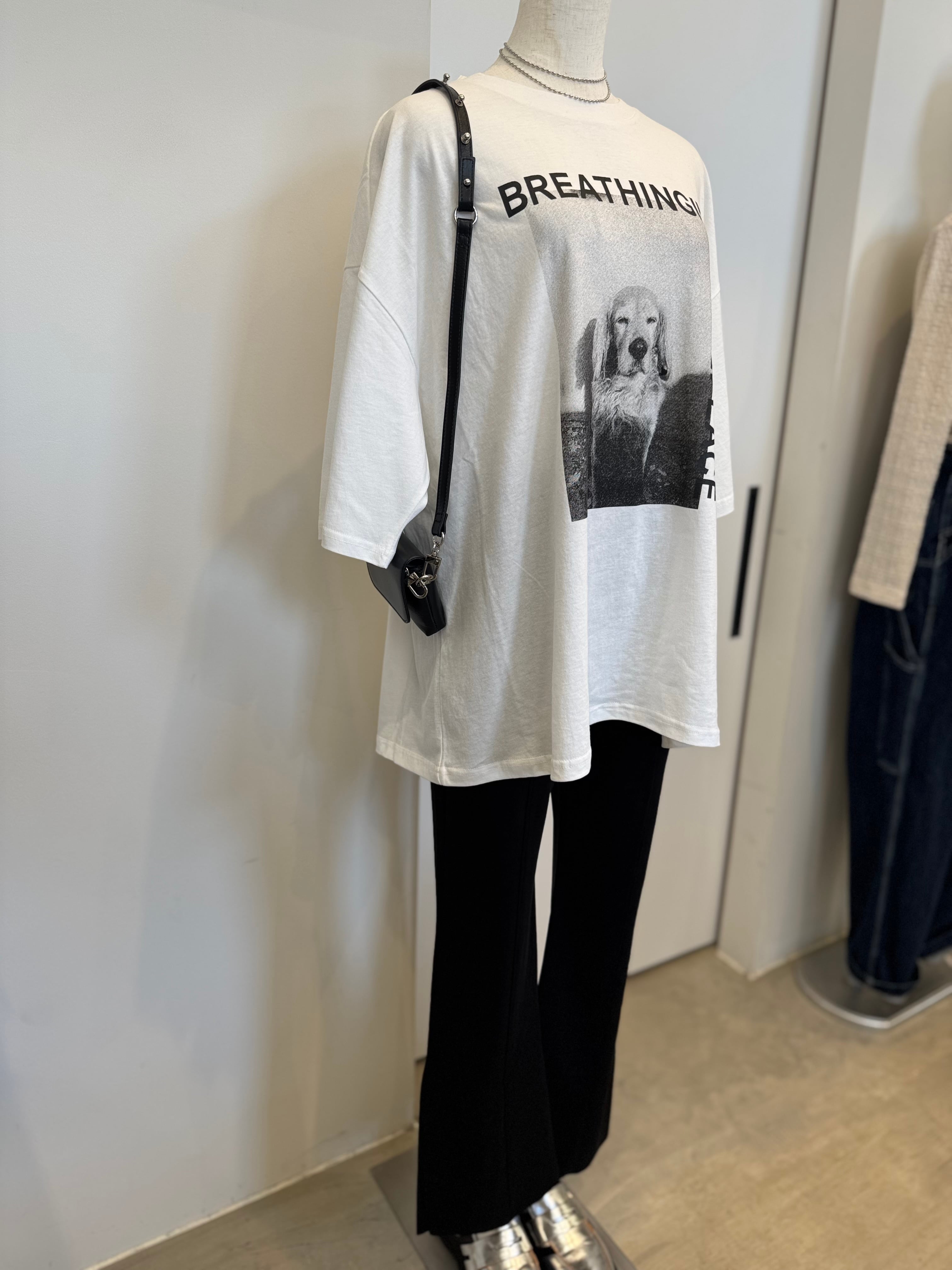 【CHIGNON】アニマルフォト”DOG”Tee 8461-100KK