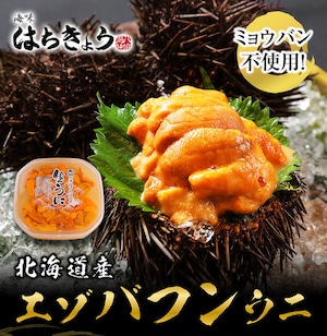 北海道産　生バフンウニ 100ｇ　無添加　送料無料　　数量限定　お客様満足度 No.1  　