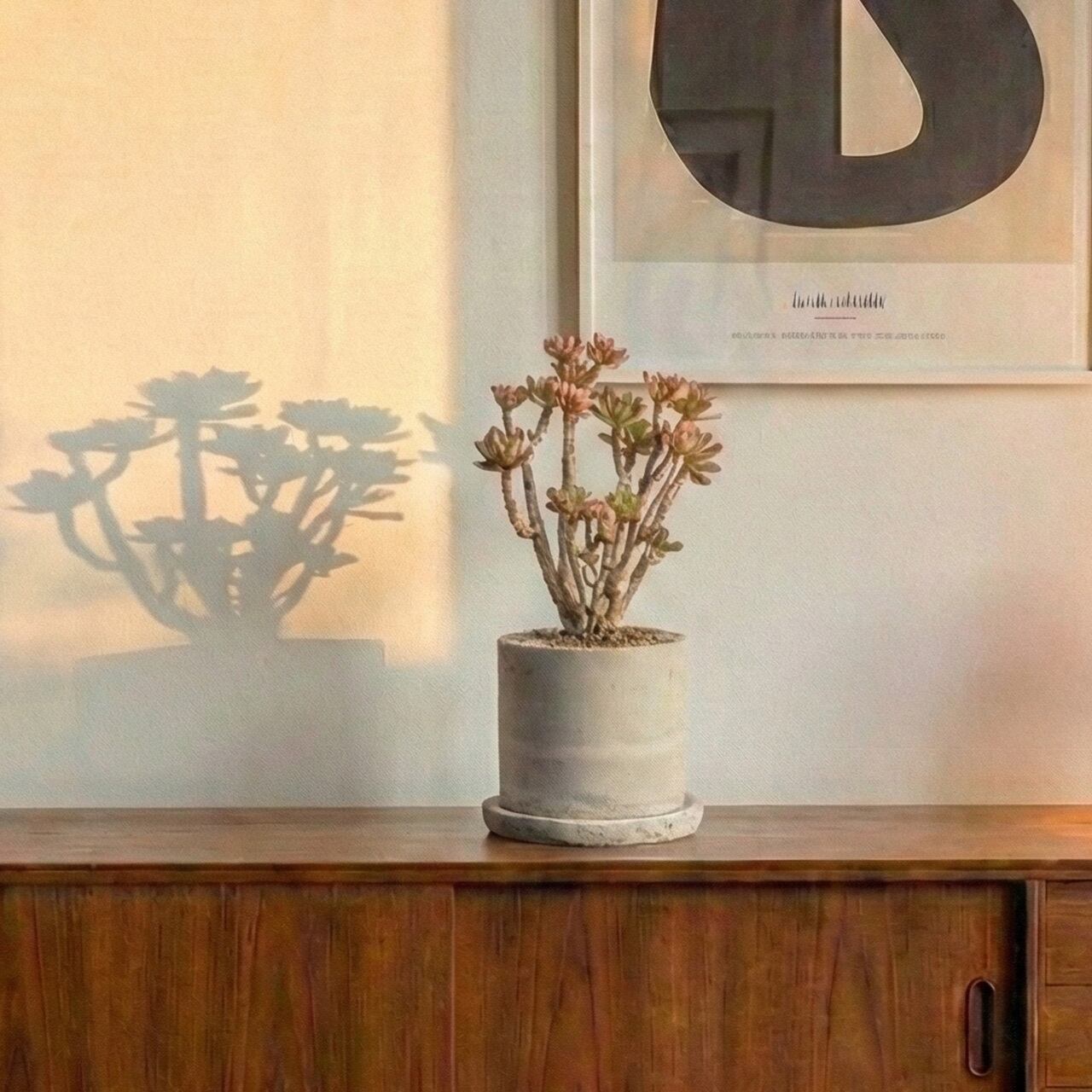 初心者さんにもおすすめ！可愛いエケベリア ミニベルと手作りモルタル鉢のセット｜届いてすぐ飾れる鉢植え【虫発生抑制】