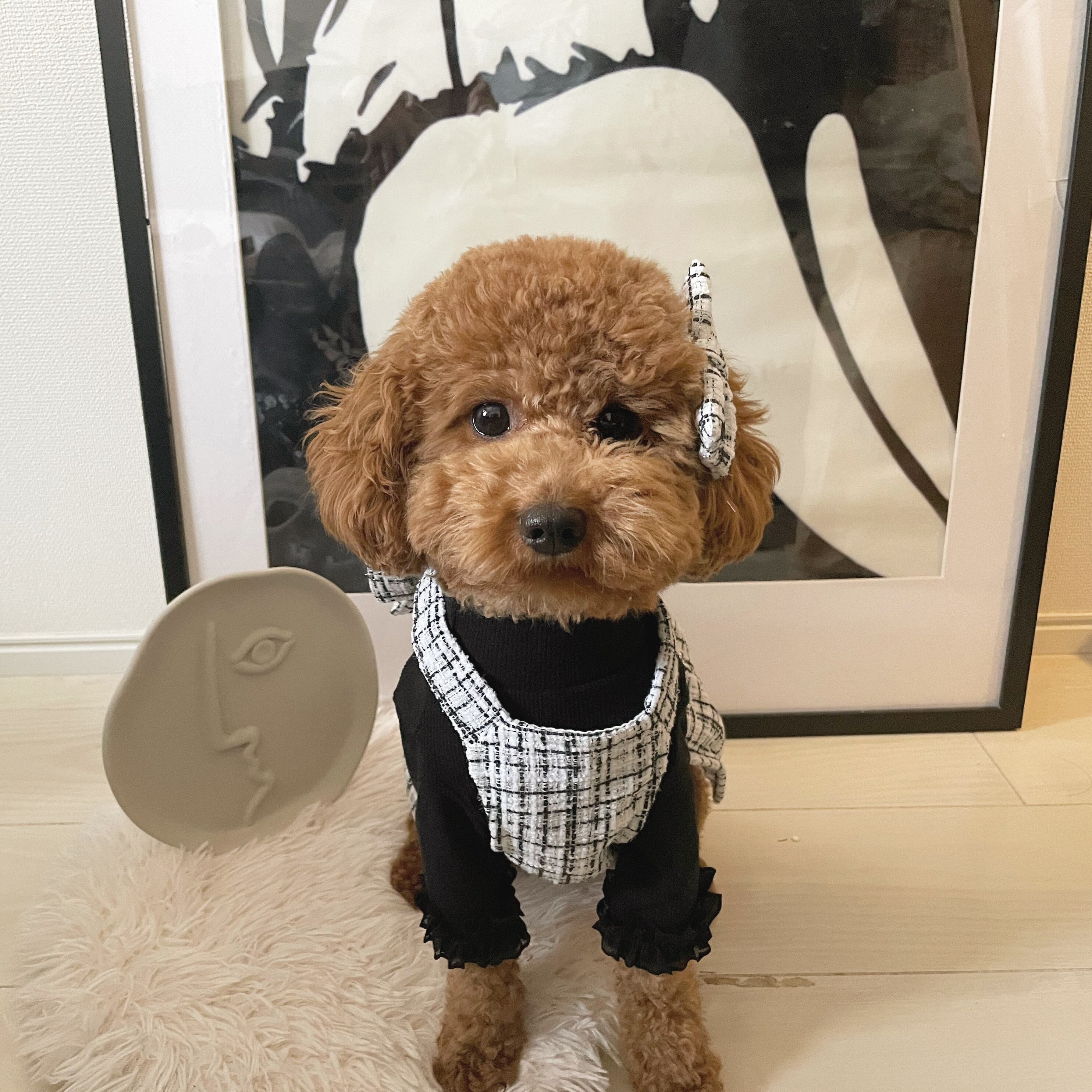 クロスバックツイードワンピース／犬服リボン | luminous