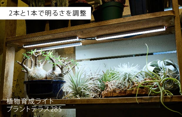 植物育成ライト プラントテラス285 連結タイプ LEDライン照明 バー