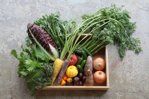 【初回に限り】季節の”大盛”お野菜便り　10％OFF