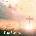 The Cross - 中山有太(4th Album)