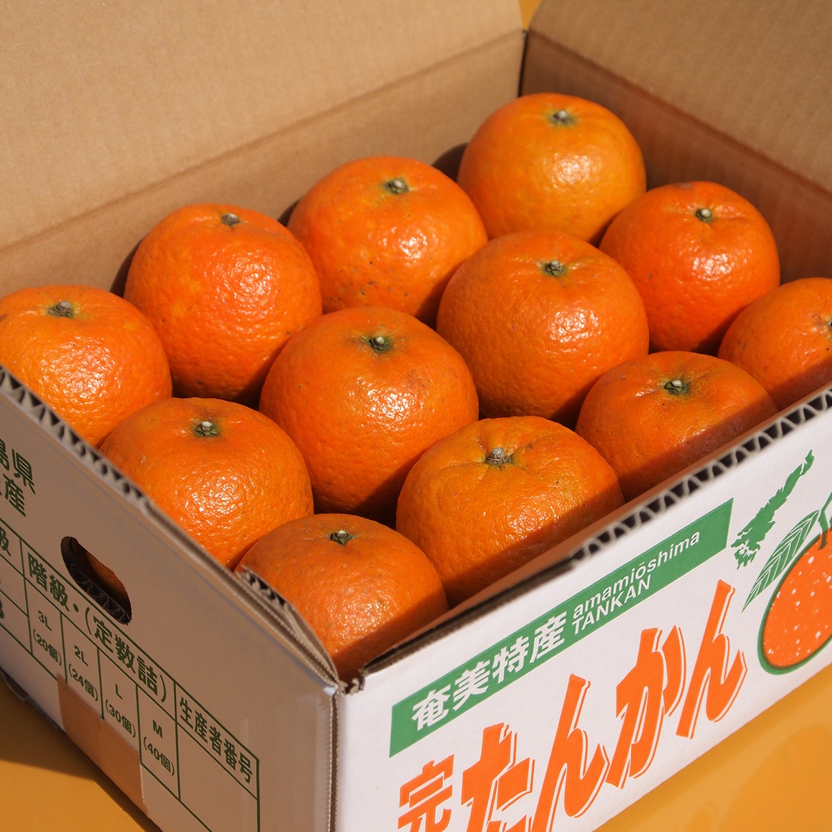 送料込】奄美大島産「たんかん」優品約5kg | あまみの果樹畑 あい 