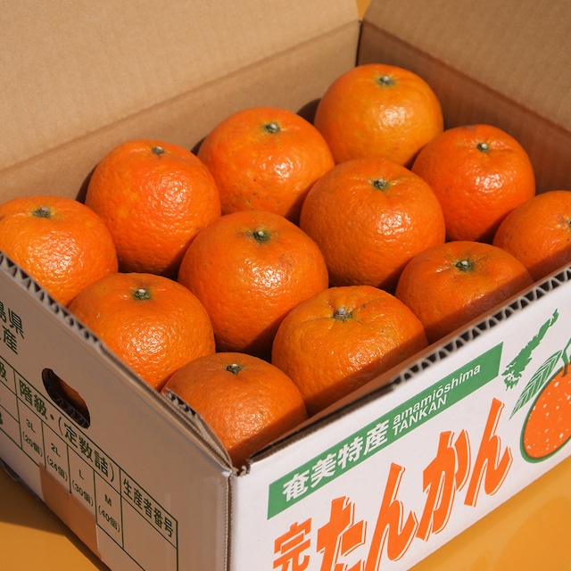 【送料無料】奄美大島産パッションフルーツ　2キロ【６月～７月販売】