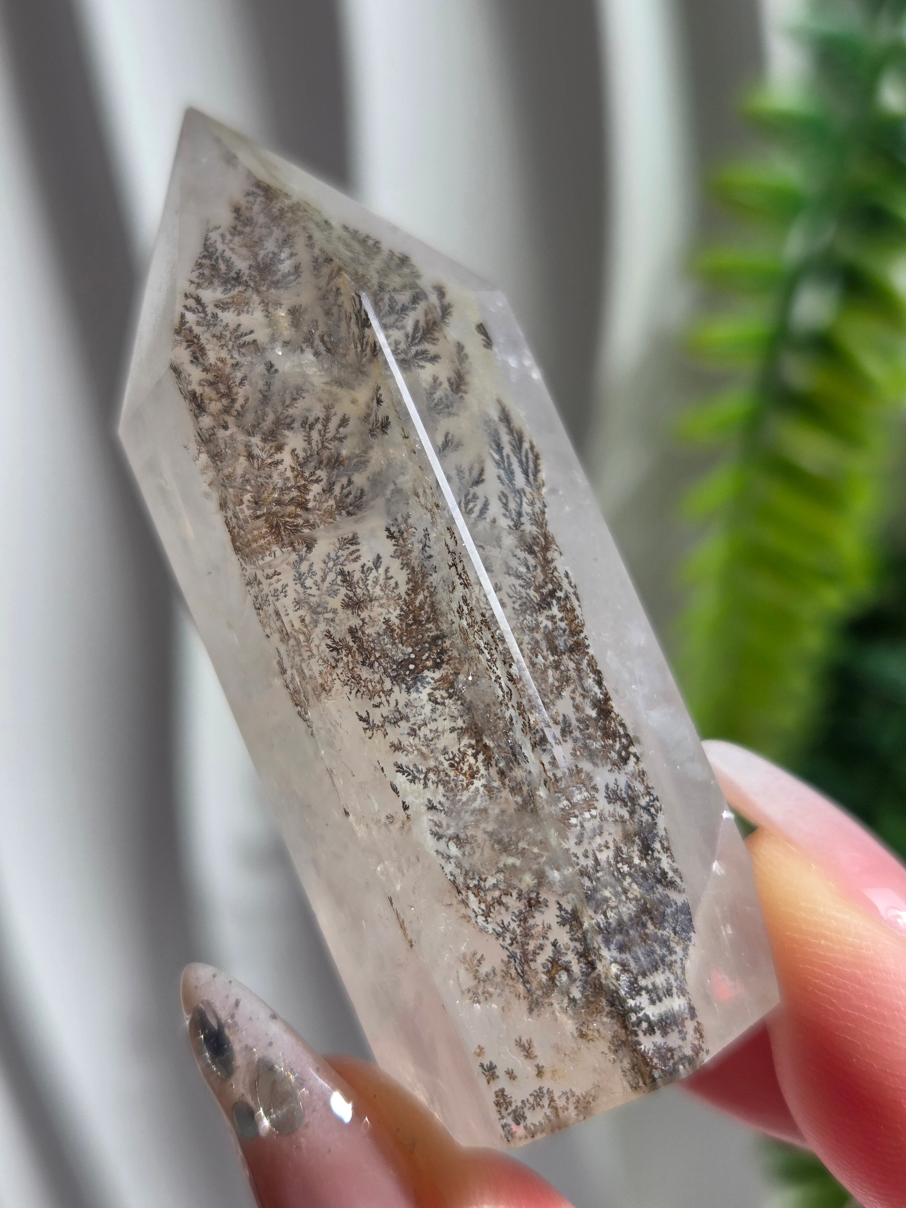 イエロークレイジーレースアゲートスラブ | HugStones