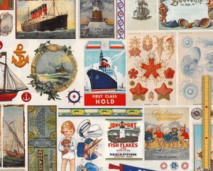 USAコットン Saltwater 海辺のコラージュ Collage クリーム