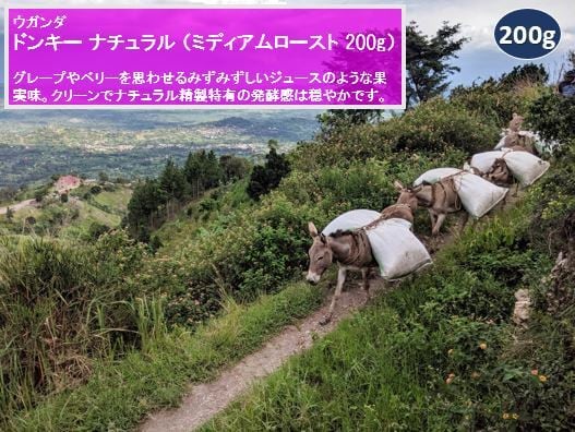 ウガンダ ルウェンゾリ ドンキー ナチュラル(ミディアムロースト 200g)