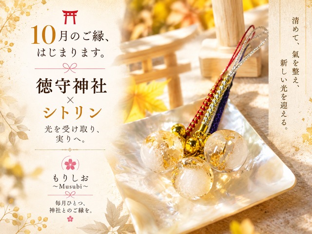10月限定　徳守神社⛩️✖️シトリン