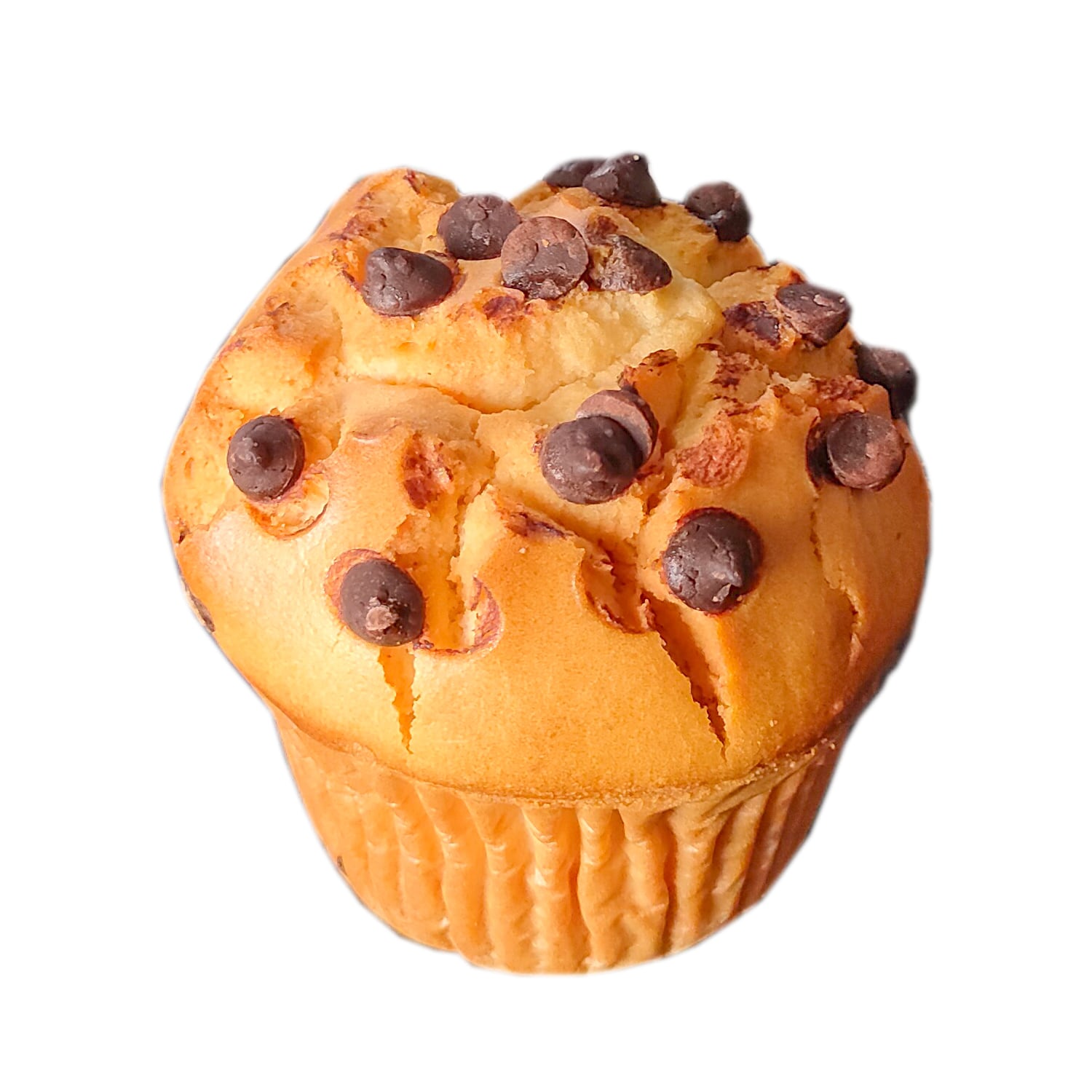 マフィン 冷凍品】米粉チョコチップマフィン | HATIS COFFEE（ハティスコーヒー）