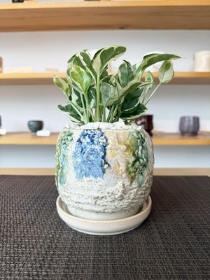 ポトス・エンジョイ