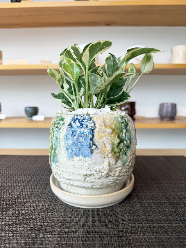 ポトス・エンジョイ