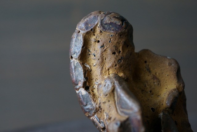 オーストラリア産ロブスター化石 Thalassina anomala Fossil 819