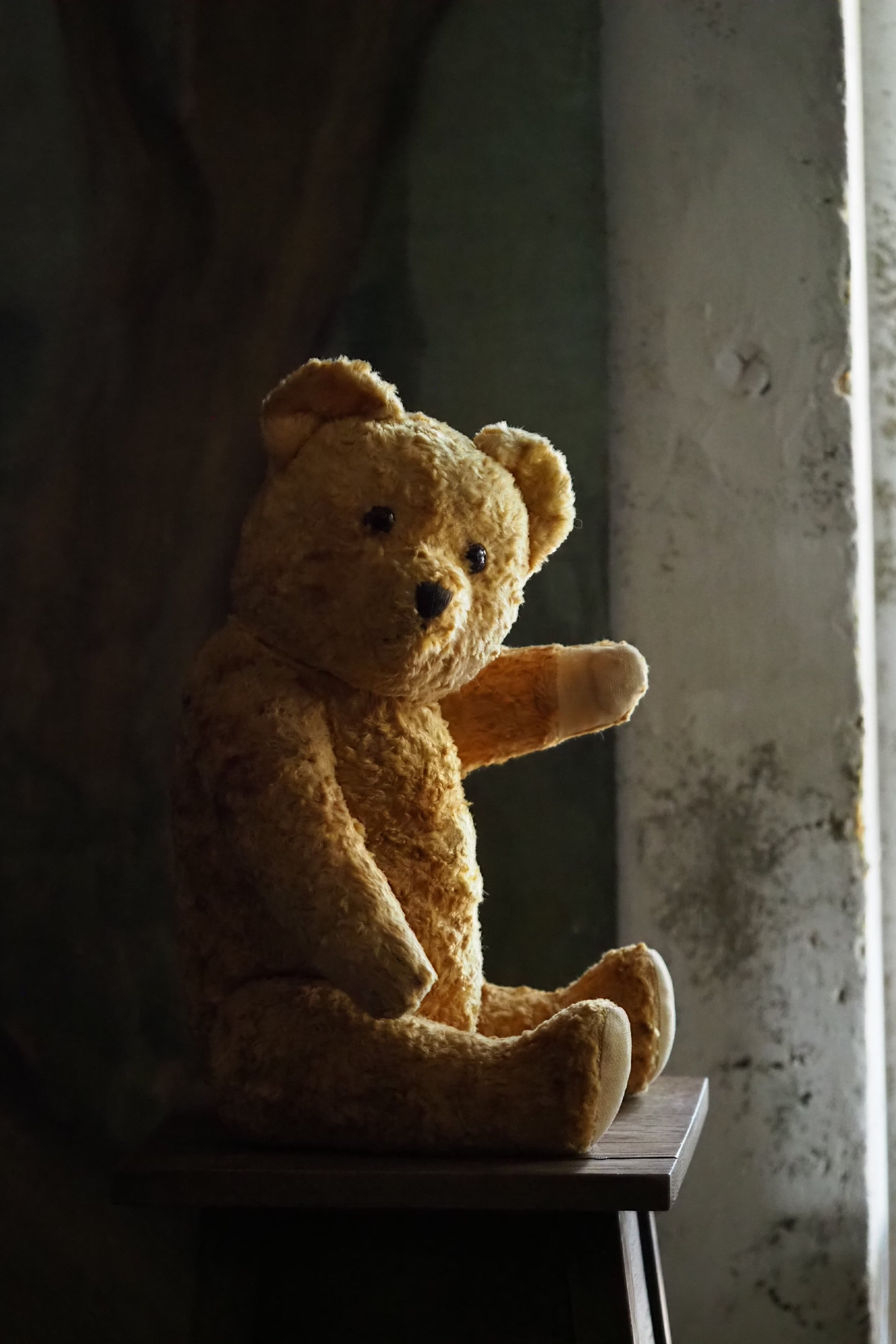 * vintage bear ❀ お世話が好きな 優しい クマさん 🐻Bell's Collection Max Carl社 50年代 編み物が好きなクマ