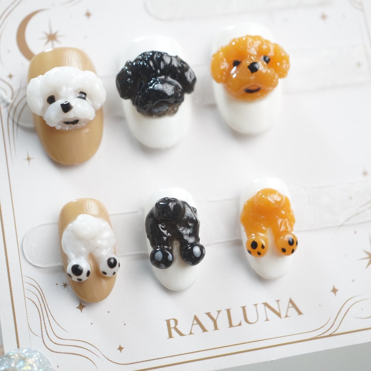 茶トイプー/親指 薬指、人差し指チップ/ 繰り返し使えるネイルチップ