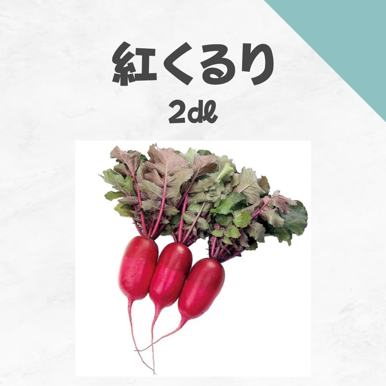 紅くるり ダイコン種子・2dl