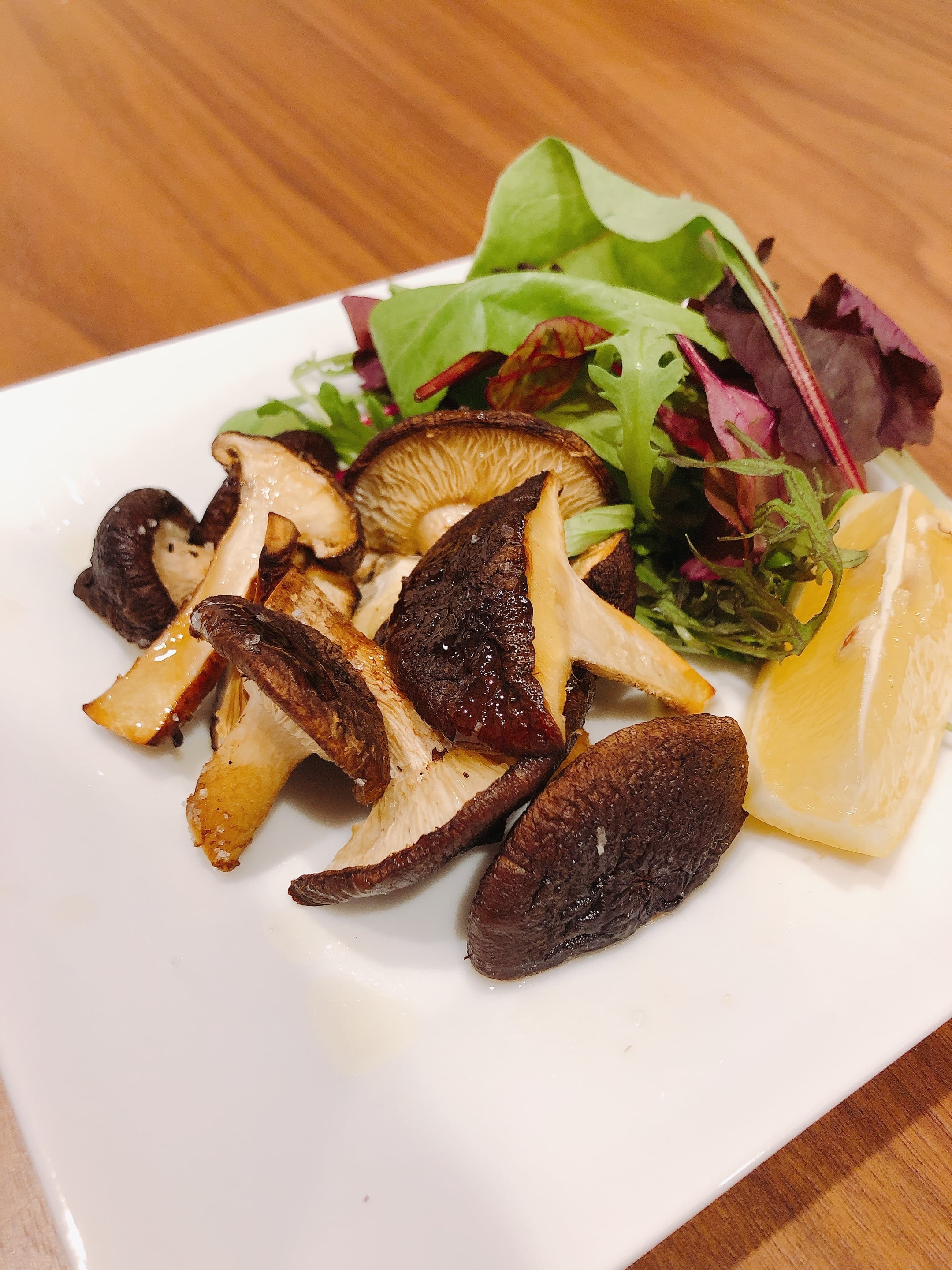 きのこ hiratake2.jpg