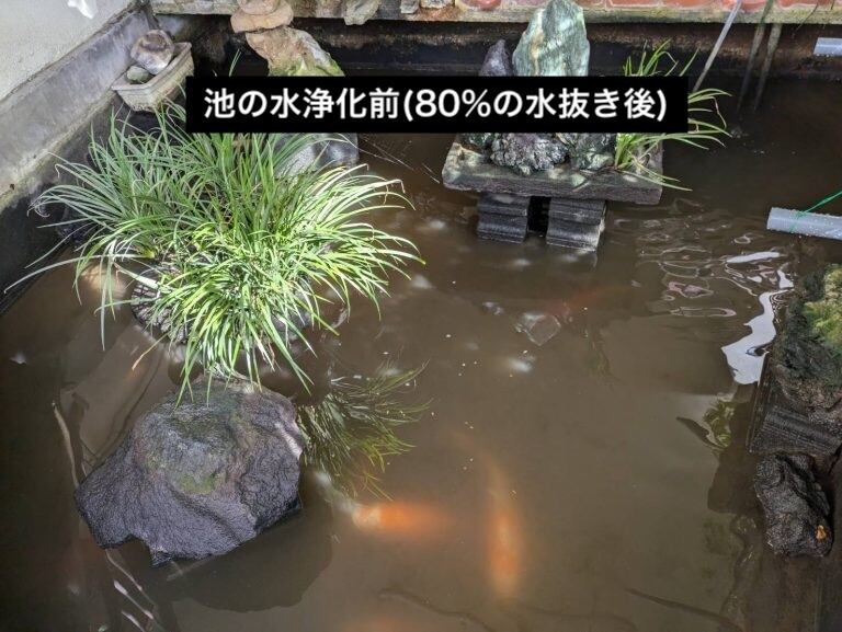 水槽濾過パワー モデル200（200L用）｜メダカ・金魚飼育に最適｜トロ船