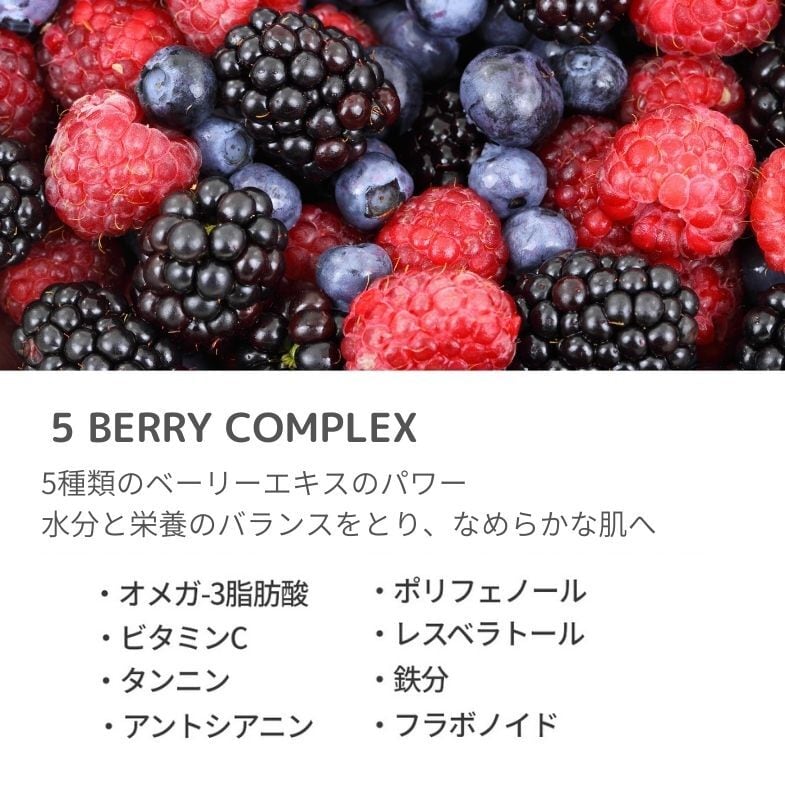 サウナクレンザー 200ml 洗顔料　[ イクォルベリー ｜EQQUALBERRY ]