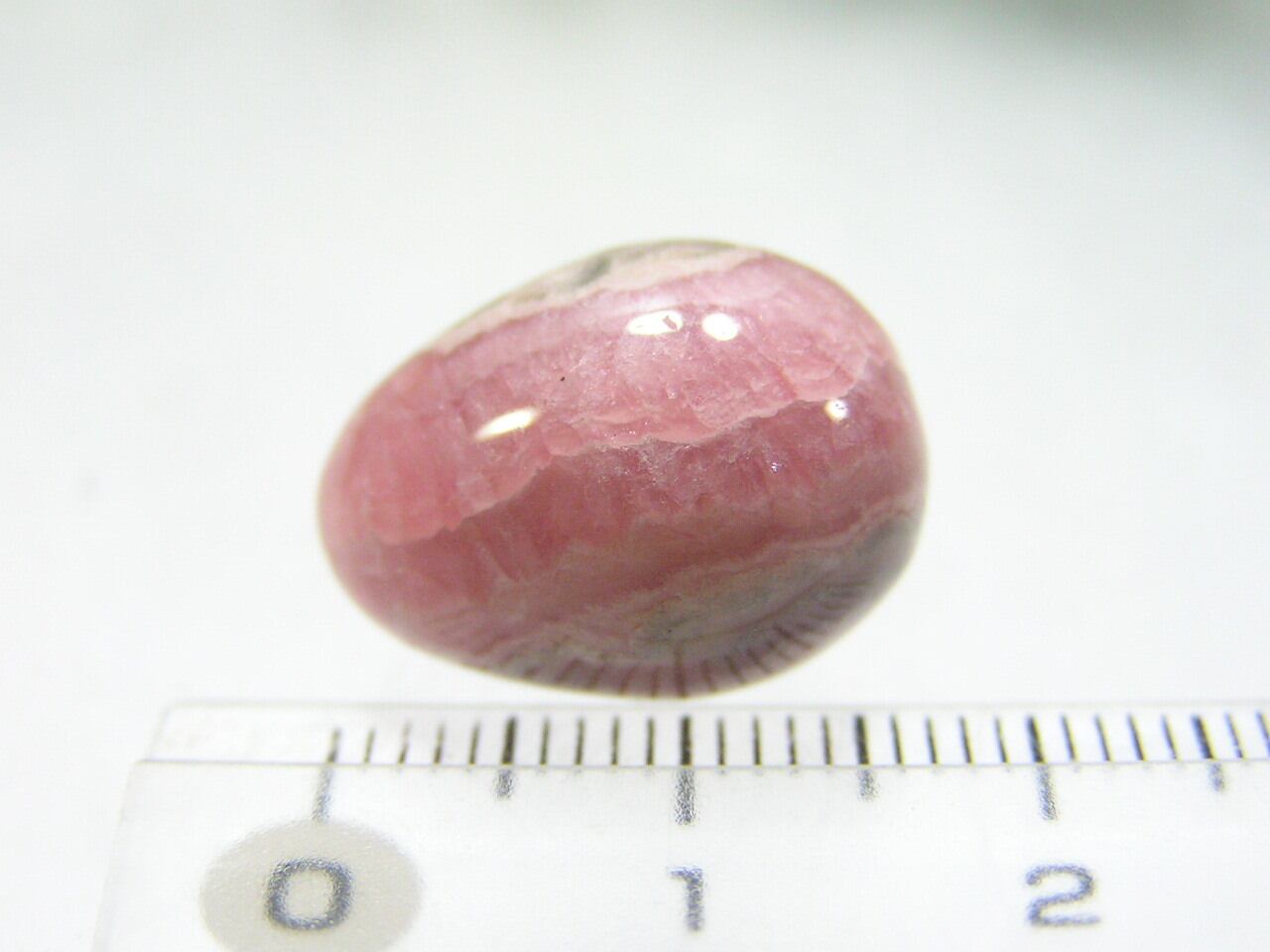 卵型（インカローズ） 卵型（インカローズ）