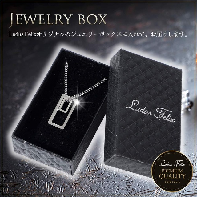 [Ludus Felix]ネックレス-メンズ-サージカルステンレス-金属アレルギー対応-ネックレスメンズ-アクセサリー