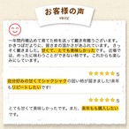 【予約・11月下旬～12月発送】【2026年産】富有柿 3L 8玉（2.5ｋｇ）