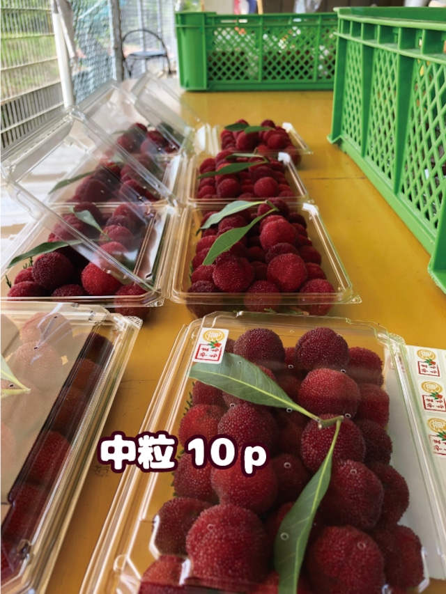 ○ やまもも中粒パック詰 ○ 約300g×10パック