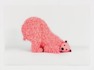 Paola Pivi "A beautiful photo of ?" (pink bear)