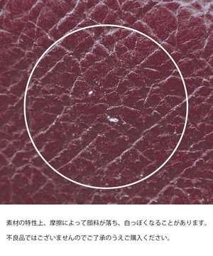 F258127-43_Harry Potter×Flapper チャドリーキャノンズポスターポーチ