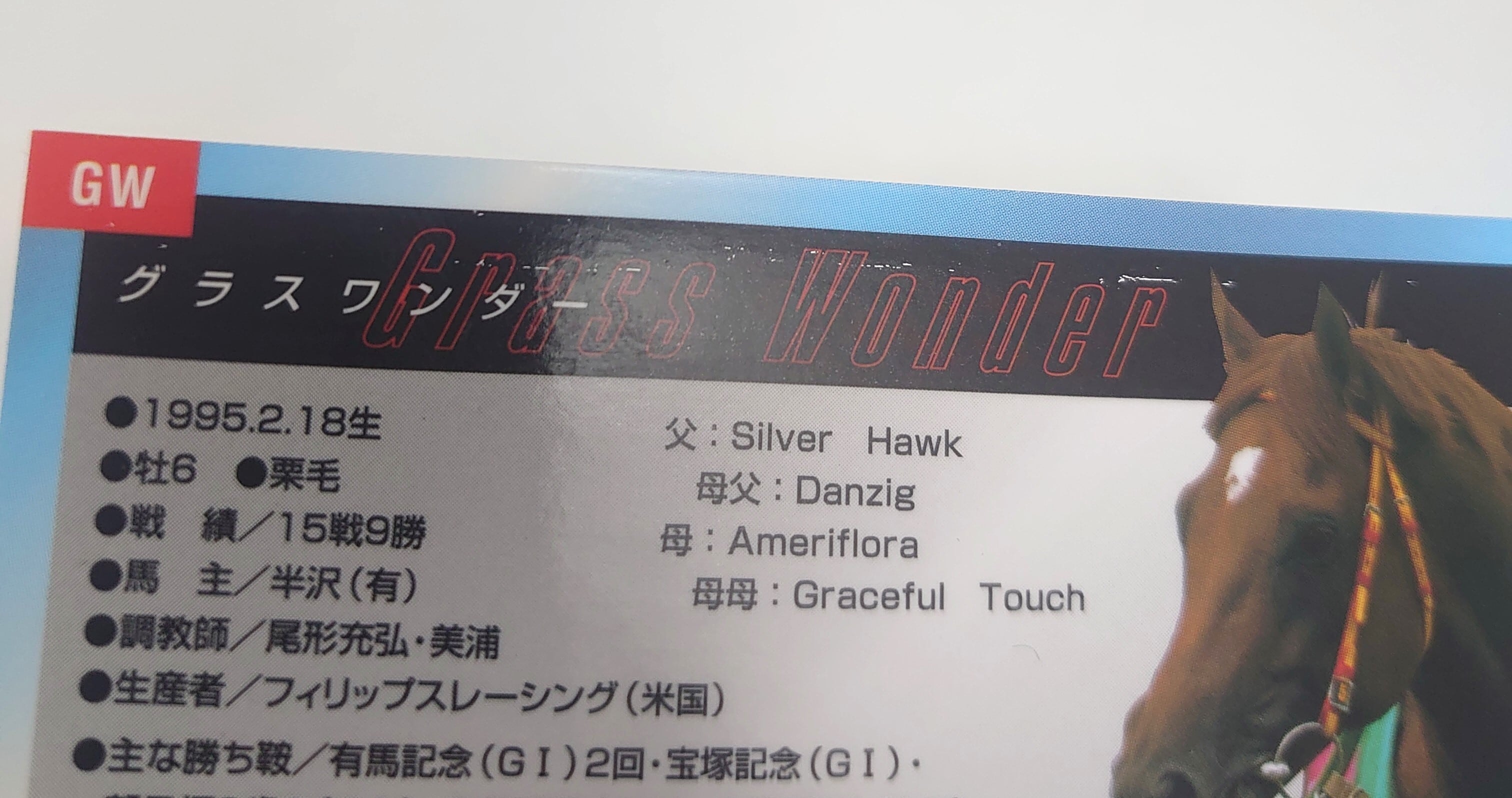 ランクB)グラスワンダー(抽選プレゼント)(通知書付き)「サラブレッド