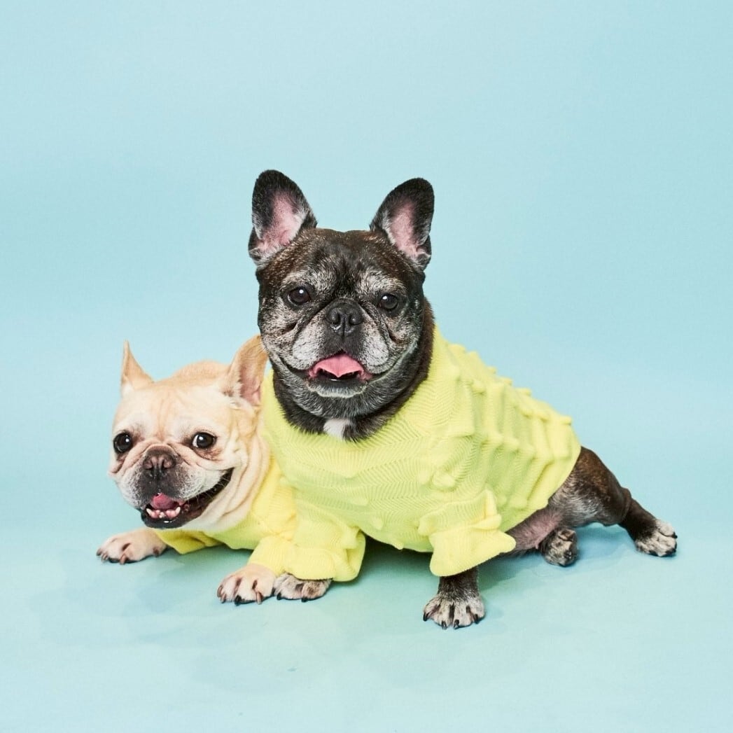 HYGGELE ヒュッゲ　犬服 ニット Lサイズ 2着セット HYGGELE