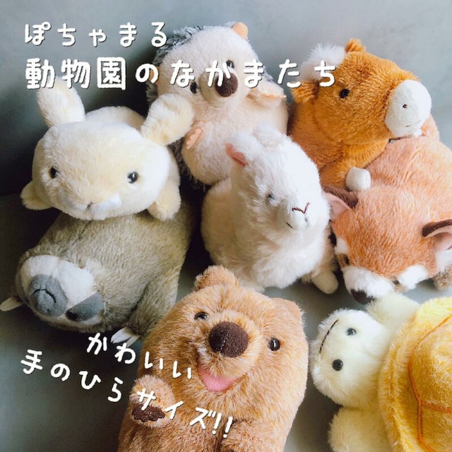 ぽちゃまる ぬいぐるみ 大陸散歩 ハリネズミ クオッカ ウサギ うさぎ レッサーパンダ ナマケモノ アルパカ 馬 亀 リクガメ ハシビロコウ カピバラ フラミンゴ カエル 蛙 マスコット カメ 動物園 アニマル グッズ 雑貨 鳥 鳥雑貨 かわいい ギフト ラッピング クリスマス