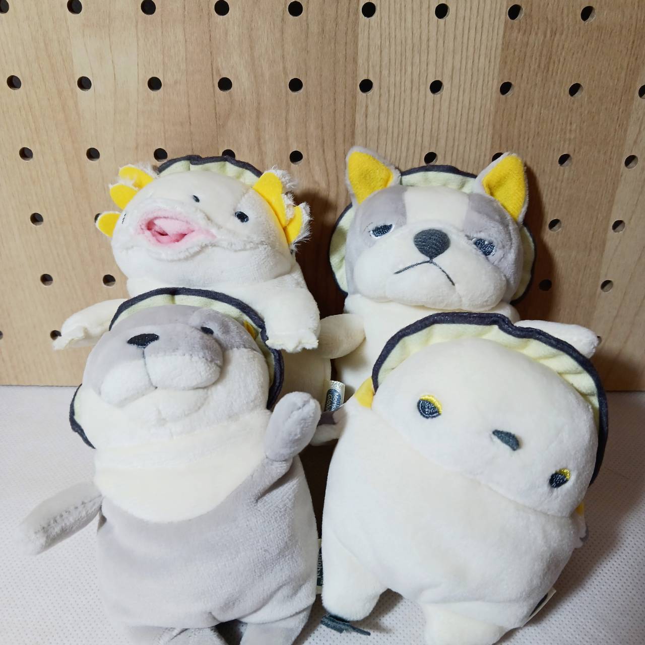 もちシリーズ 牡蠣 カワウソ | TORCH-Online Shop- もちシリーズ 牡蠣 カワウソ | TORCH-Online Shop-
