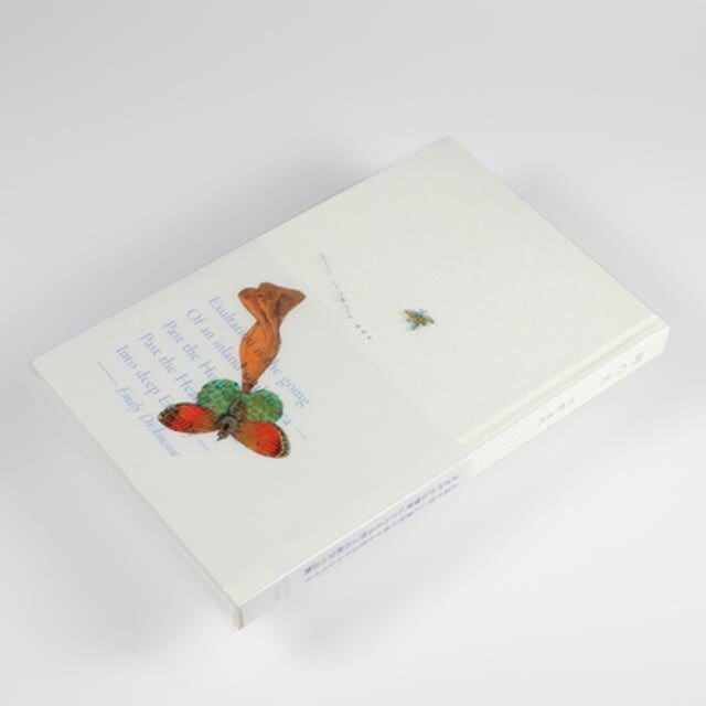 『時の光』　河野道代　BOOK　ARCHIT