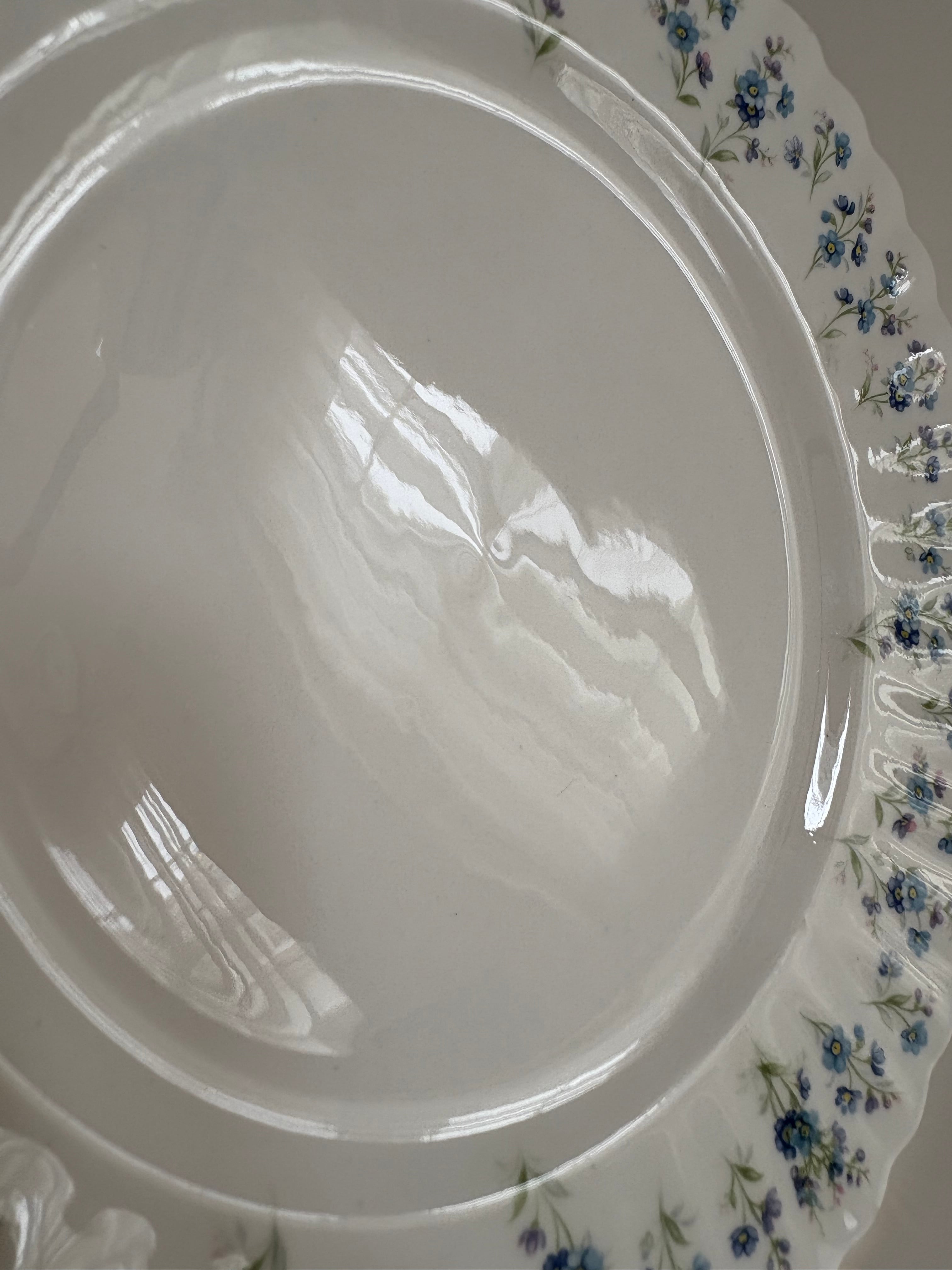 ロイヤルアルバート☆勿忘草☆プレート 12枚