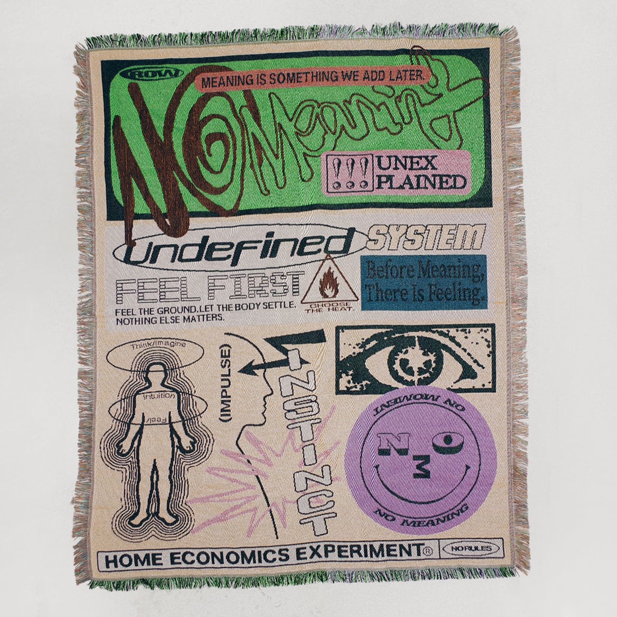 HOME ECONOMICS EXPERIMENT