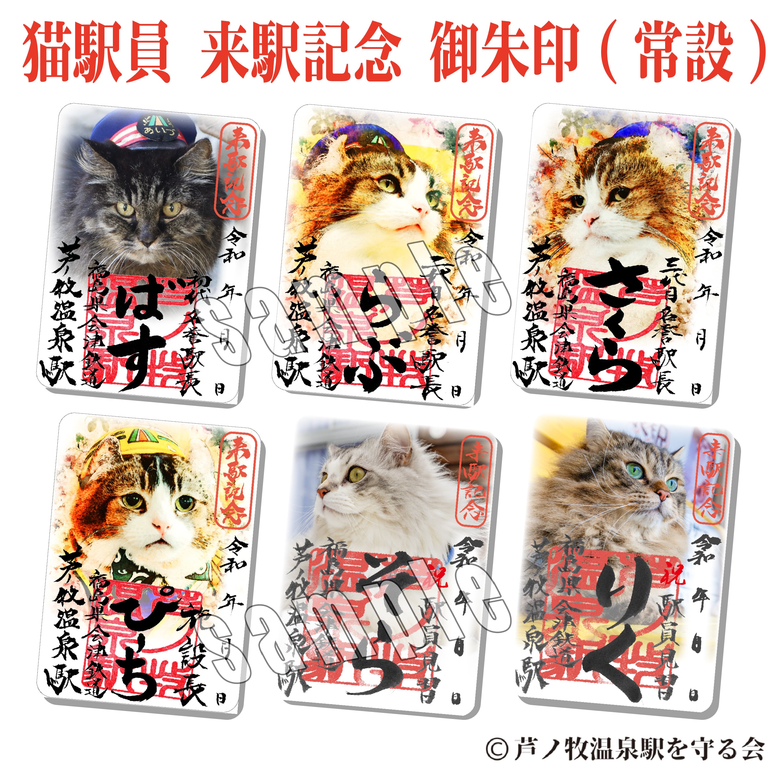 Station Master Cat