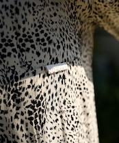 【#Re:room】LEOPARD OPEN COLLAR LONG SLEEVE SHIRTS［RES091］