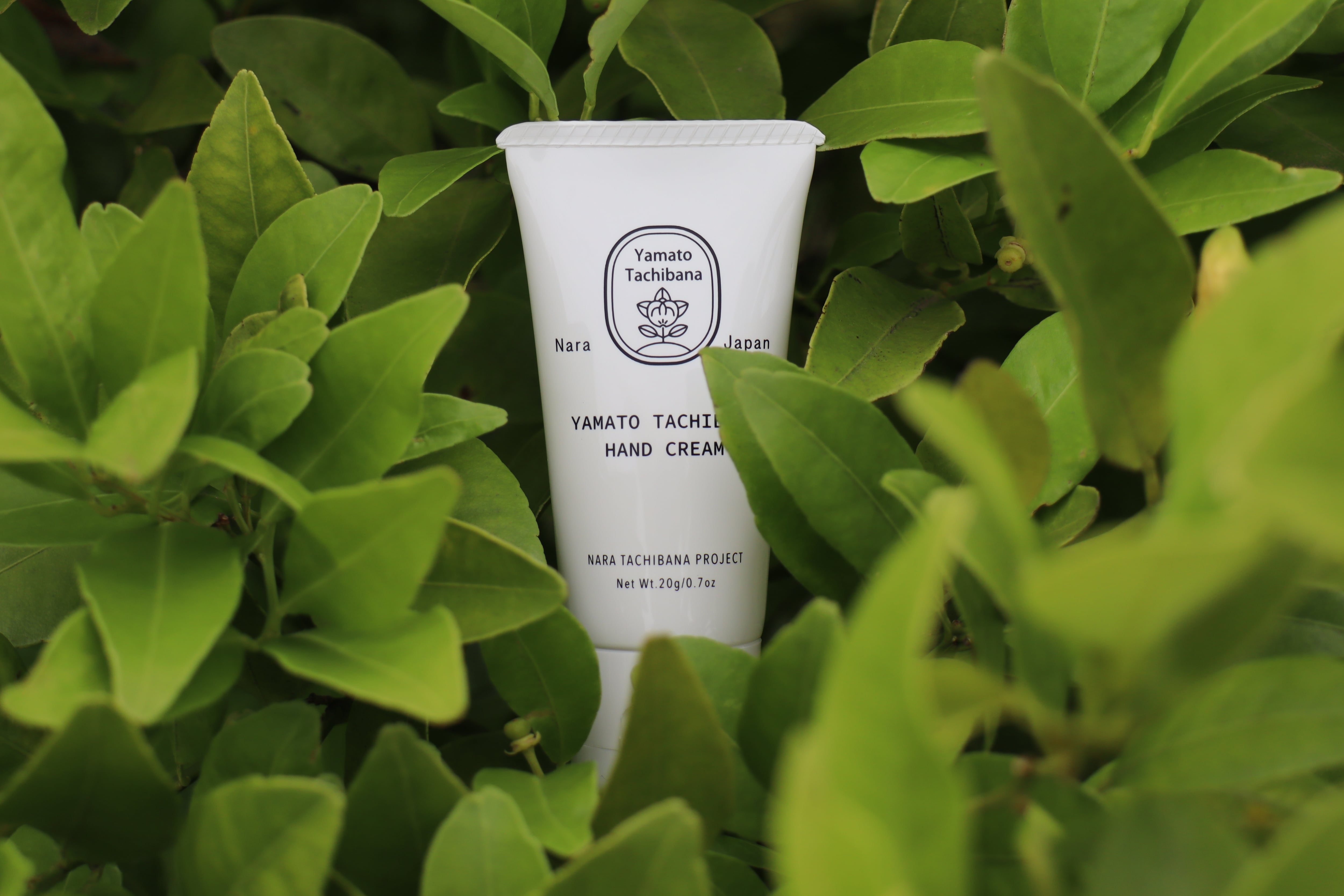 大和橘 HAND CREAM 【大和橘果皮水、果皮オイル、枝葉水をブレンド