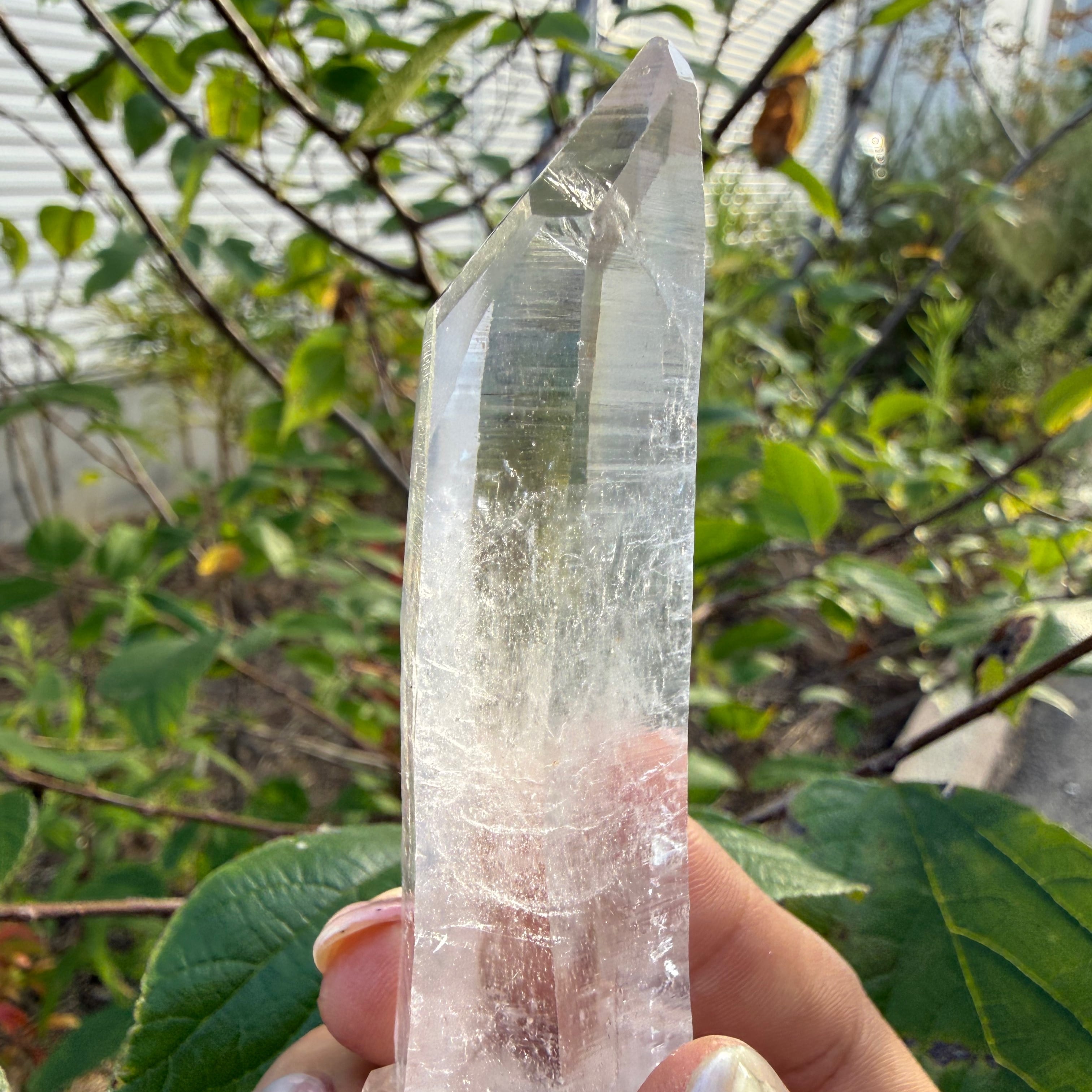 26MR001 インドメルー産ヒマラヤ水晶ポイント | Mea Via Stone