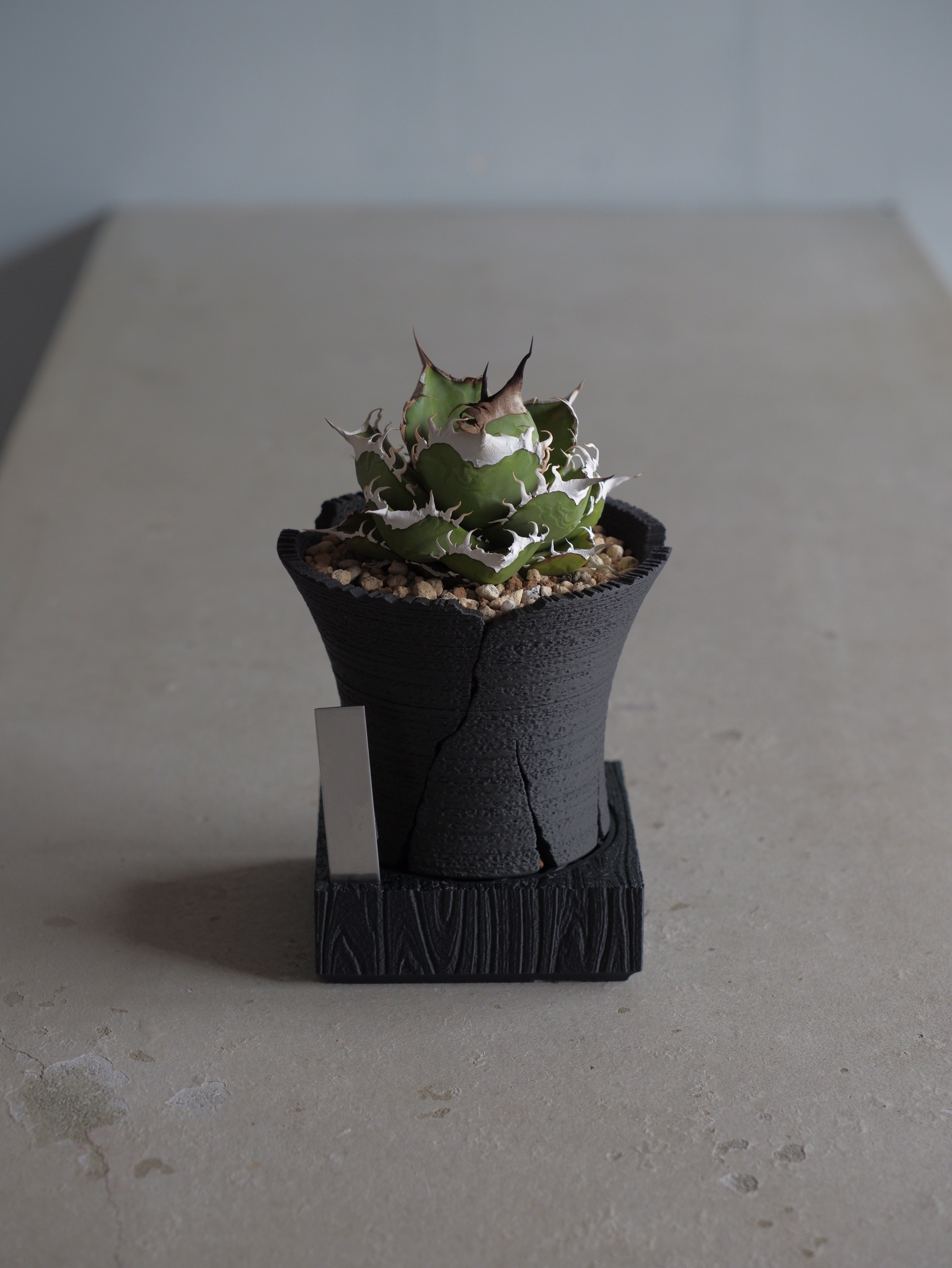 DAIZA 'MOKUME' S | R3LABO