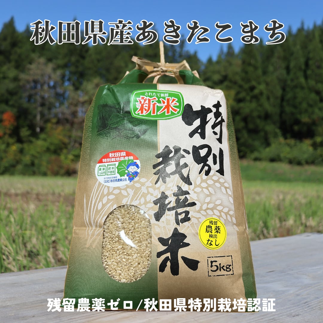 令和7年産 秋田県産 あきたこまち 18kg～20kg 白米