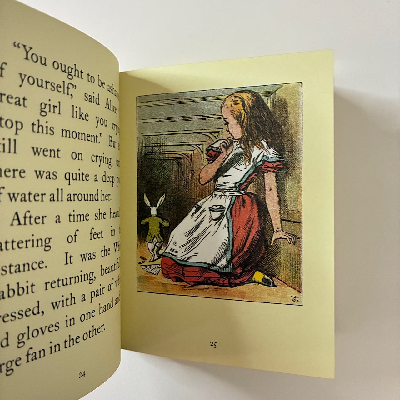 Alice's Adventures in Wonderland and Through the Looking-Glass