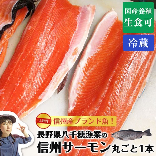 長野県ブランド魚 信州サーモン まるごと1尾 2～2.5㎏ おいしい 新鮮 魚 養殖 柵 生 冷蔵 刺身 丼 カルパッチョ マリネに