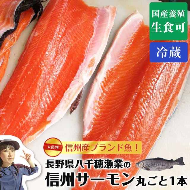 北海道標津【漁師の手作りソーセージ5個セット】10パックまで同梱可能