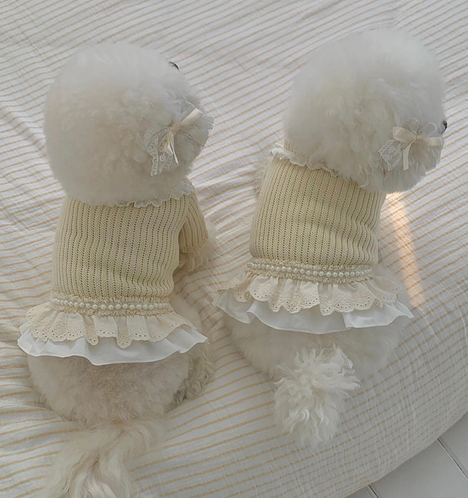 《予約》№SE0004 shell cardigan