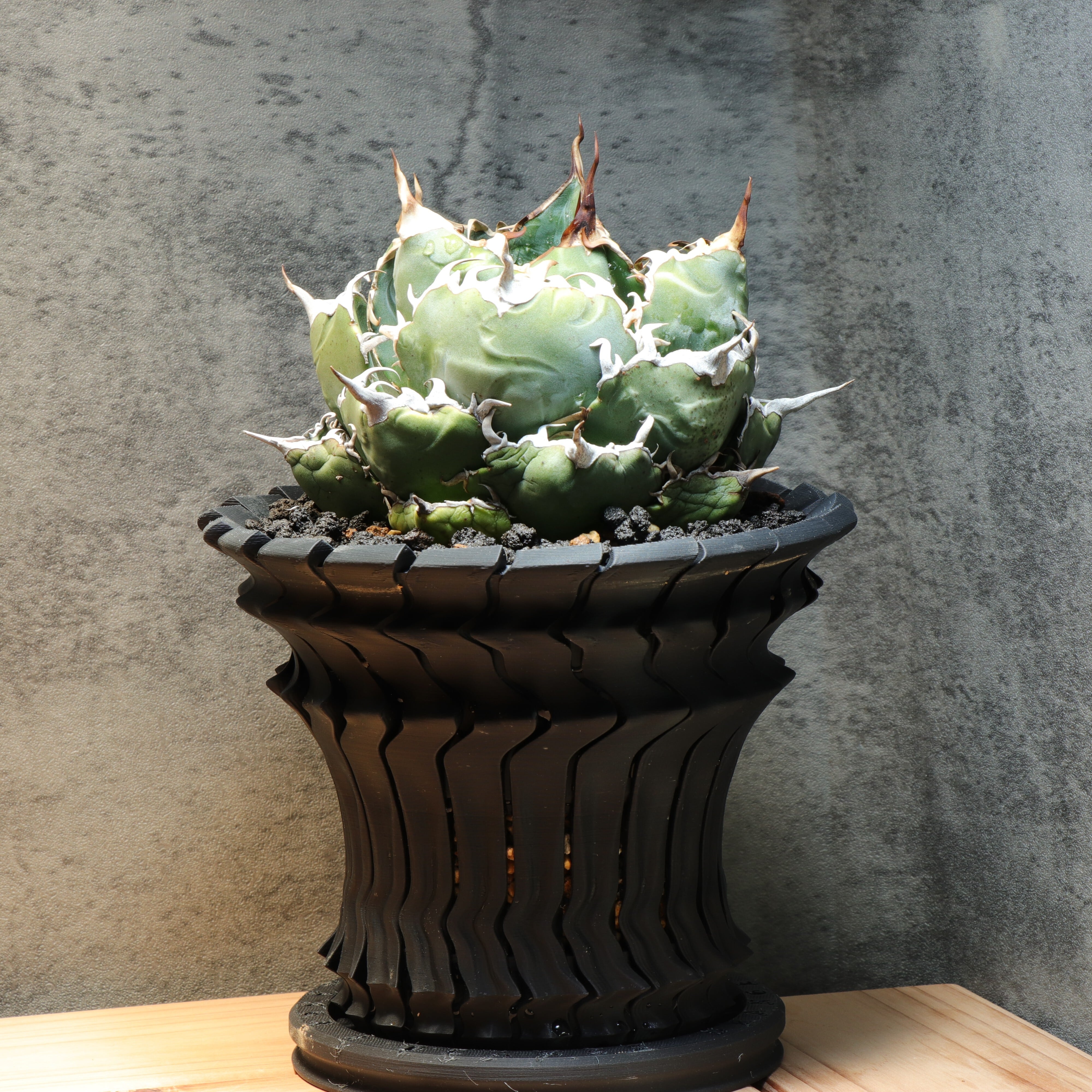 植木鉢 4号 ブラック ORP-POT08v2 4号鉢 作家鉢 アガベ | Pay ID