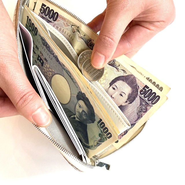 【HAK01】　1万円札が折らずに入る最少サイズの長財布「L字束入」　（スパイク箔）
