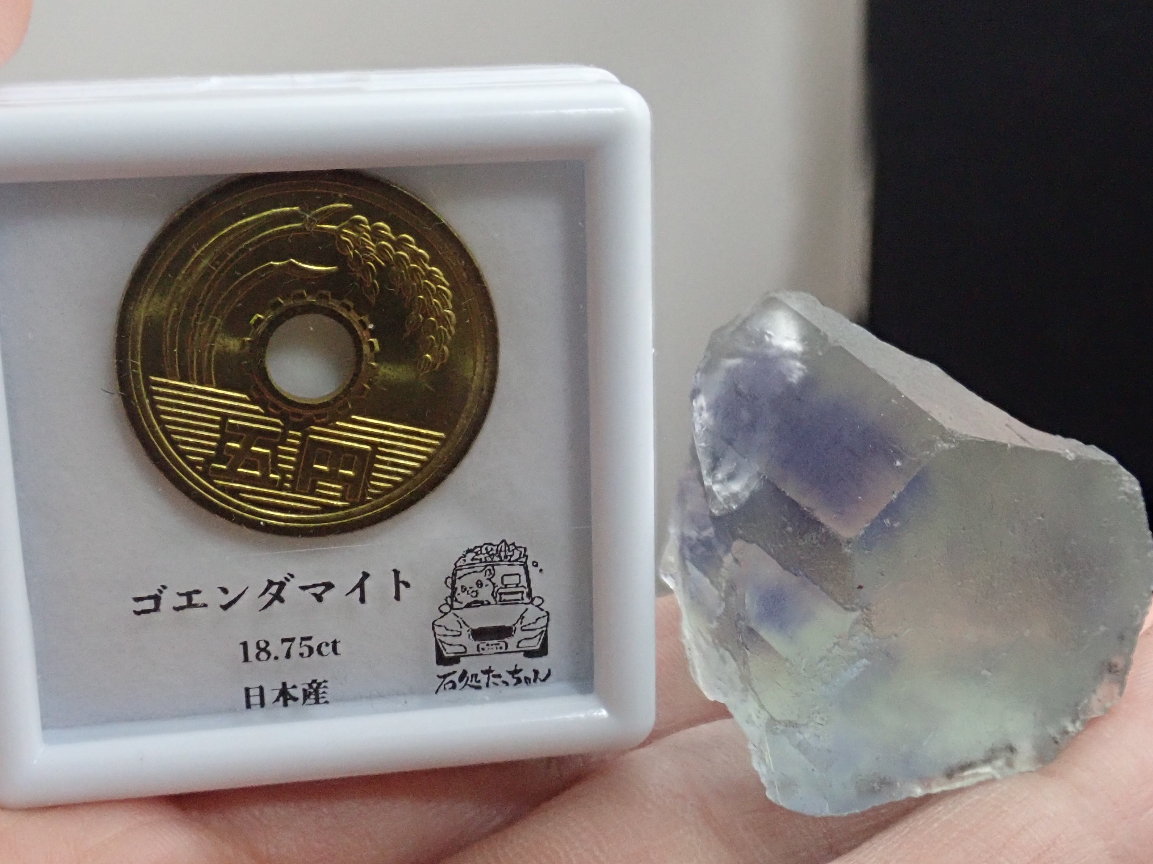 バイカラー】福建省 フローライト 蛍石 原石 標本 | 石処たっちゃん