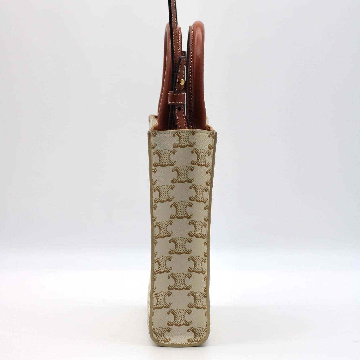 CELINE ミニ バーディカルカバ トリオンフ 2way ハンドバッグ | DEFY